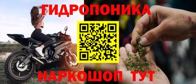 стафф Кулебаки