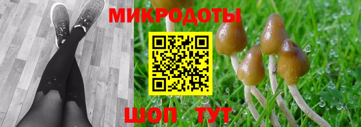 Галлюциногенные грибы мухоморы Вятские Поляны