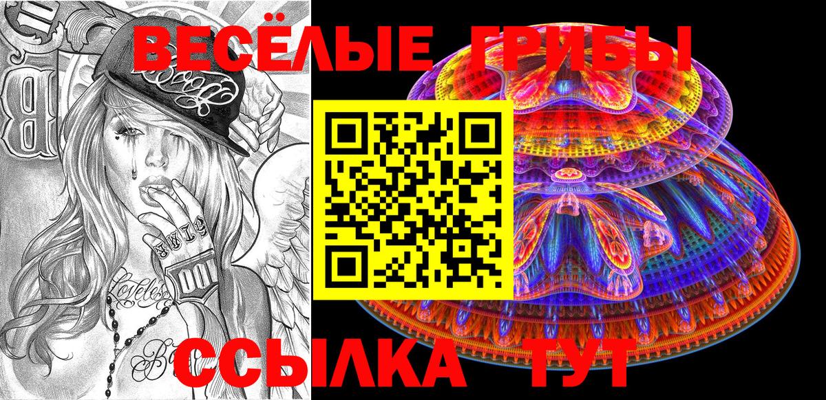 Псилоцибиновые грибы Psilocybe  Вход с VPN  Вятские Поляны  Галлюциногенные грибы GOLDEN TEACHER 
